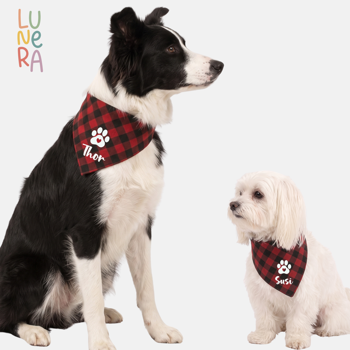 Perro grande y perro pequeño con cachirulo personalizado con huella y nombre, Lunera